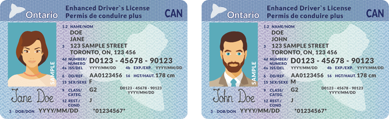 Example of Ontario Drivers License