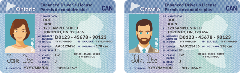 Example of Ontario Driver's License
