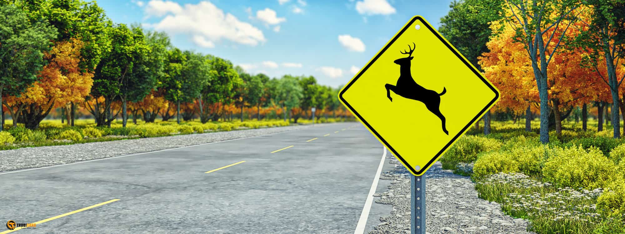 traffic sign