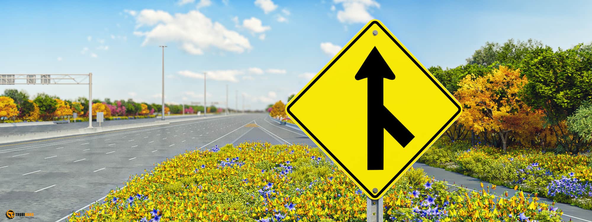 traffic sign