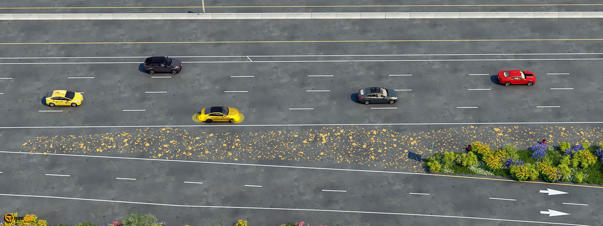 Trubicars_Rule_Highway1_02