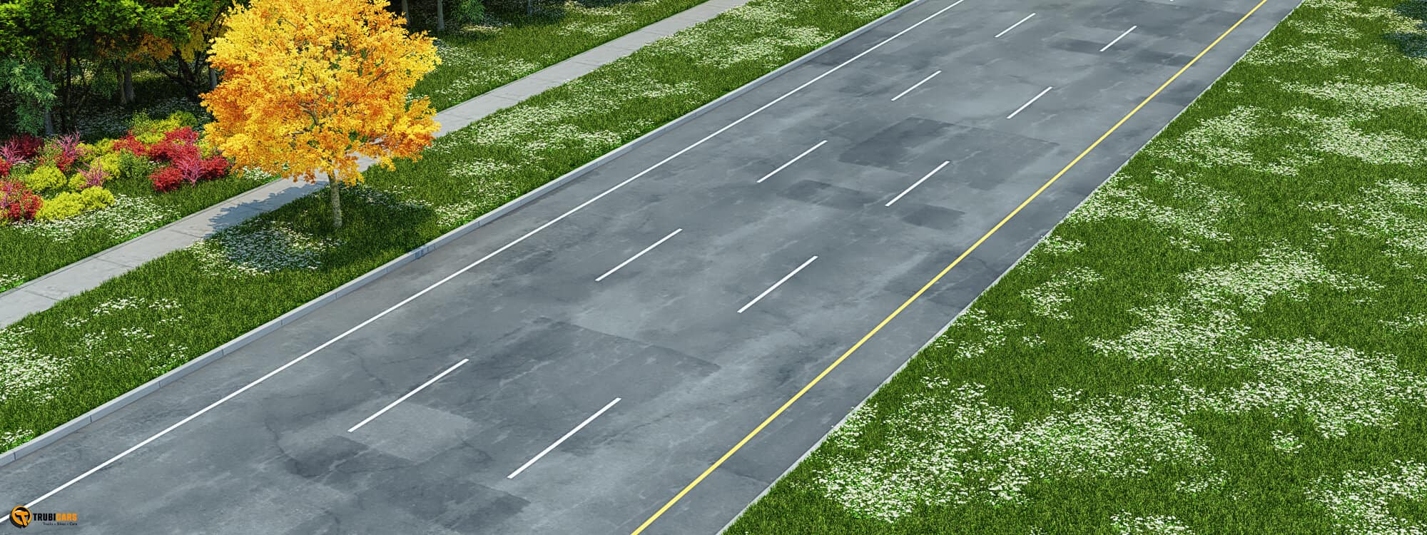 Trubicars_Rule_RoadMarkings2_01