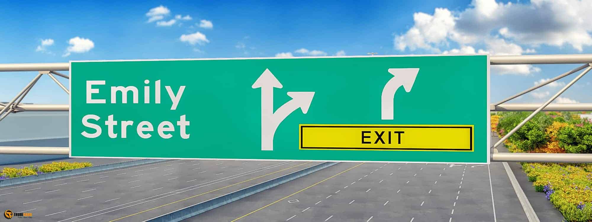 Trubicars_CommonSigns01