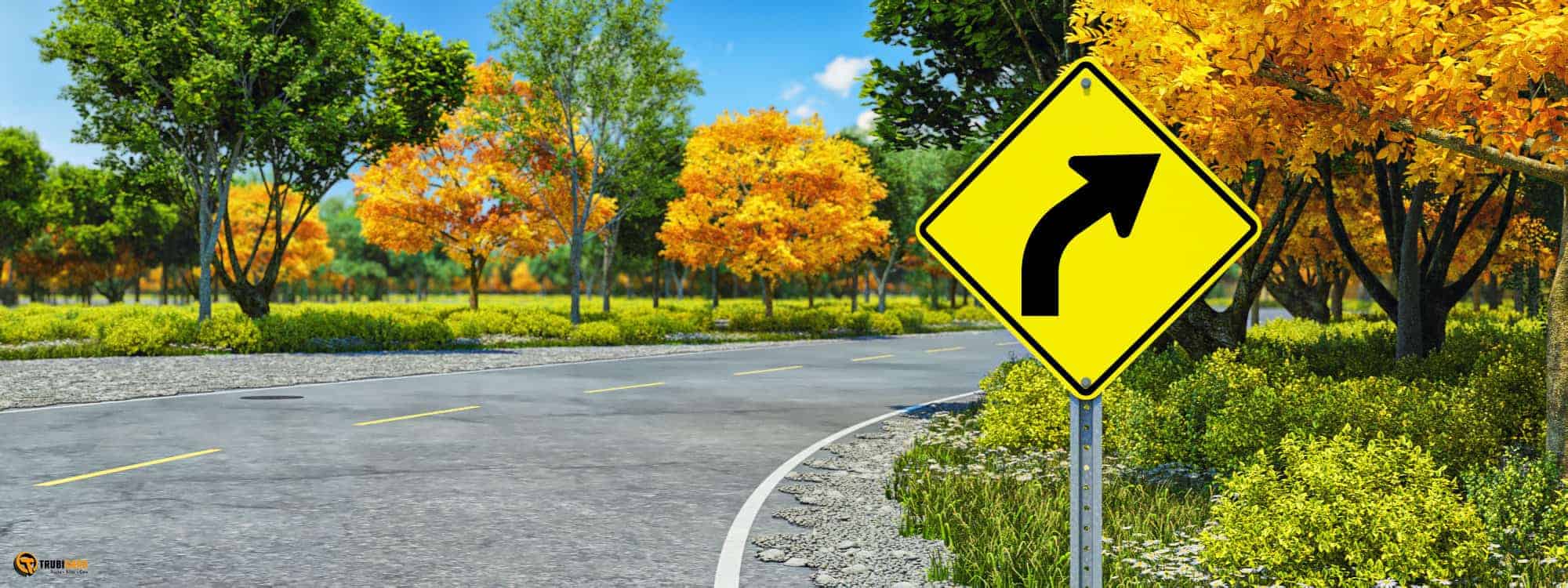 Road Curves Ahead Sign