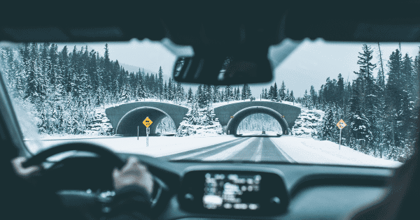 While you are Driving