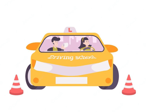 Driver Training Hamilton