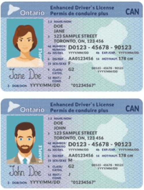 Driver’s License in Ontario 