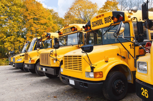 Driver’s Licences - Commercial Vehicles