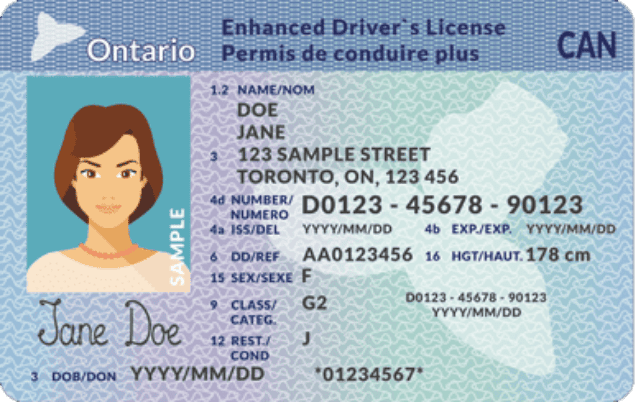 G2 License