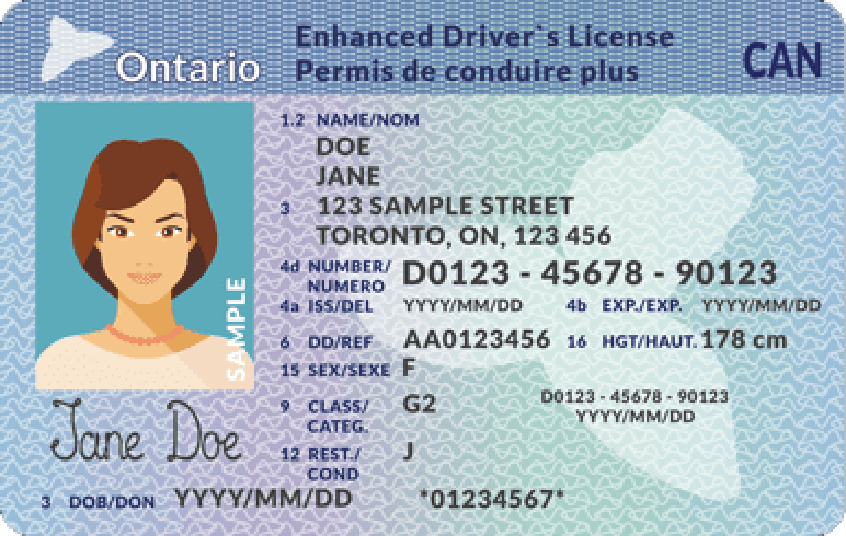 G1 License