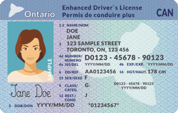 Ontario Driving License Card1