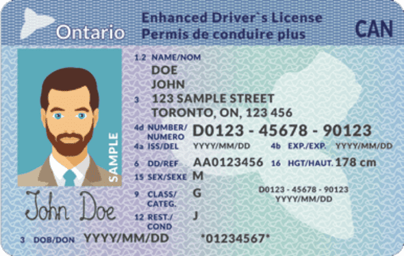 Ontario Driving License Card2