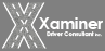 bds_bannerlogo