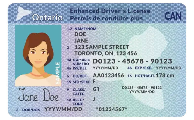 Ontario License