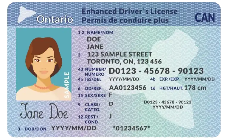 Ontario License