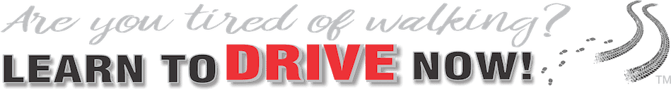 Learn to Drive Now Logo