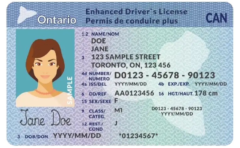 Driver’s Licence Photo Cards