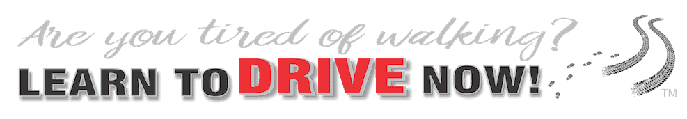 Learn to Drive Now Logo