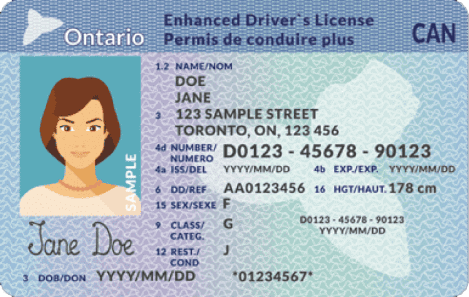 G License
