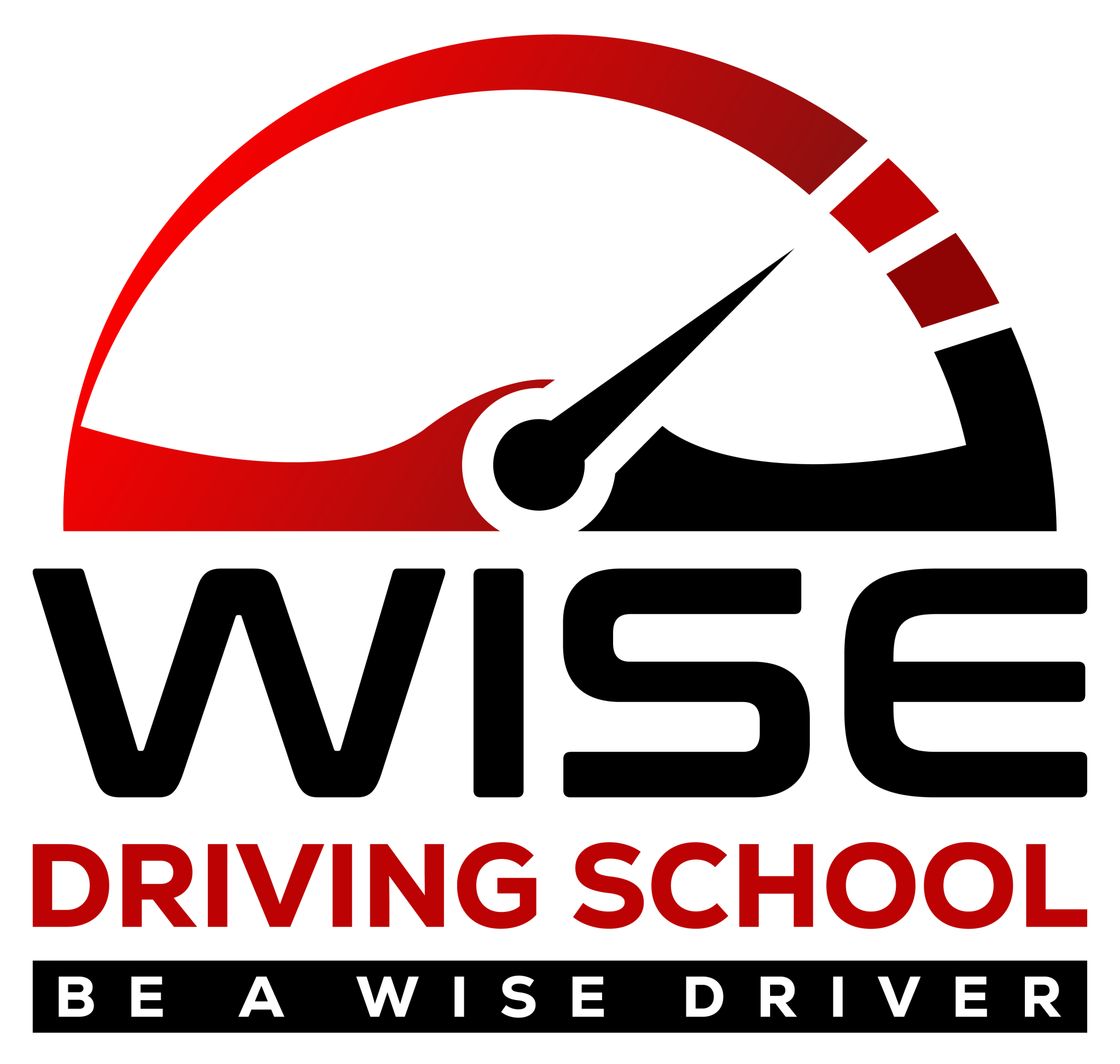 Wise Driving School Logo