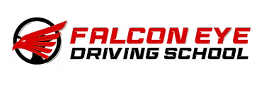 Falcon Eye Driving School Logo